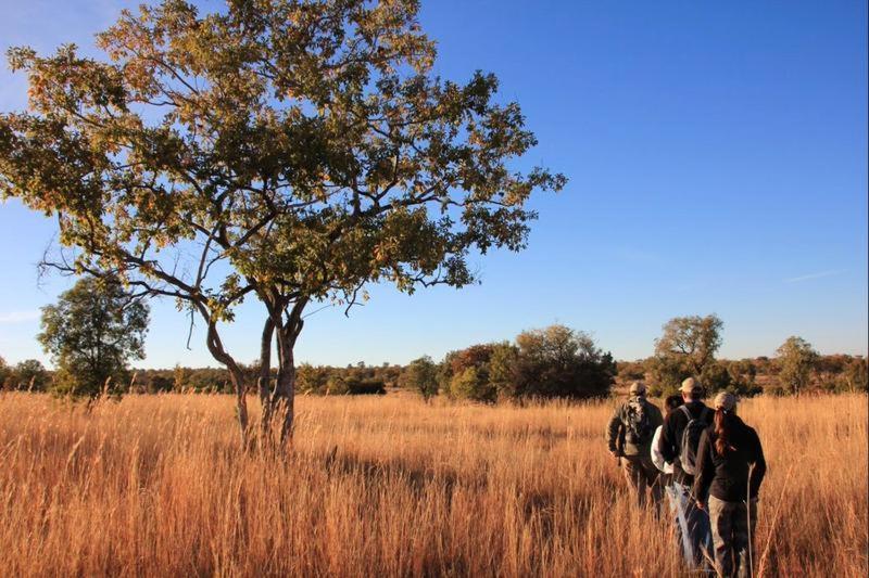 Bushtime Mabula Lägenhet Mabula Game Reserve Exteriör bild