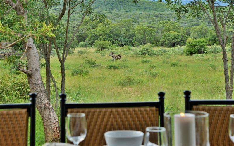 Bushtime Mabula Lägenhet Mabula Game Reserve Exteriör bild